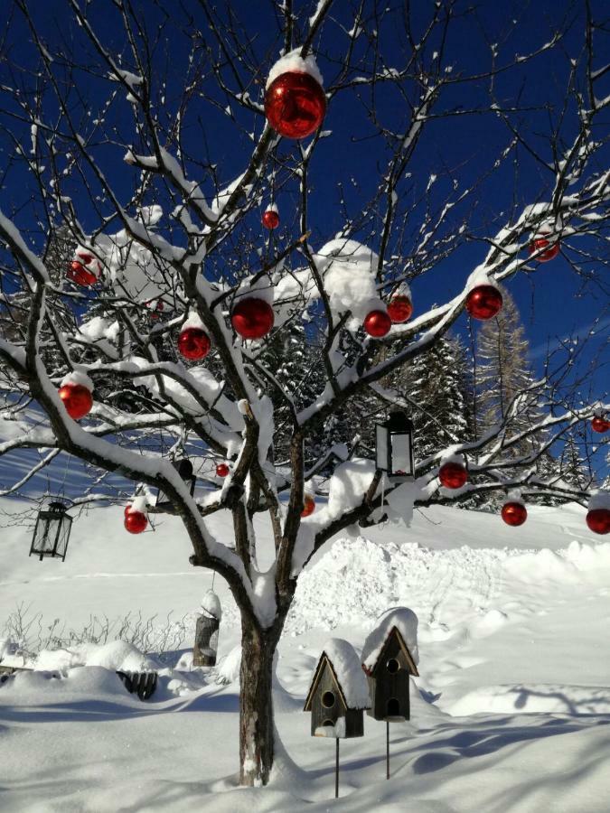 Agriturismo Luech Picedac ลาวาลเล ภายนอก รูปภาพ